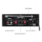 Amplificador Bluetooth 12v/220v Usb Fm Sd Card Karaoke Mp3 - imagen 2
