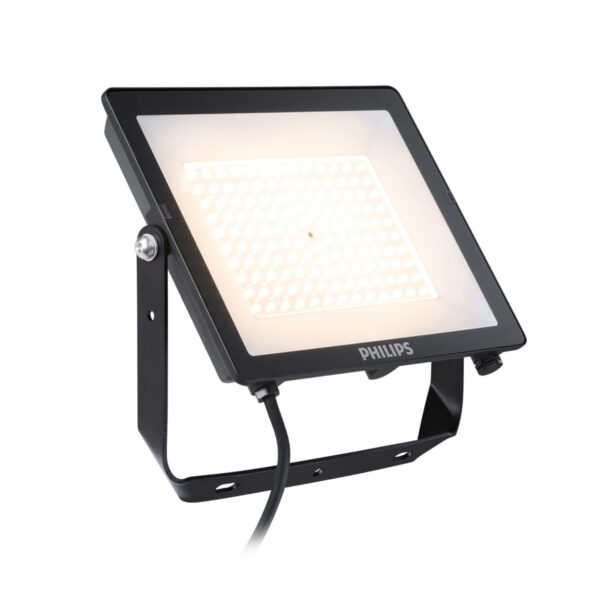 LUM VIAL SOLAR DS01 3900LM IP65 BRP715 279885207 Philips