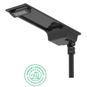 LUM VIAL SOLAR DS01 5500LM IP65 BRP715 279885407 Philips