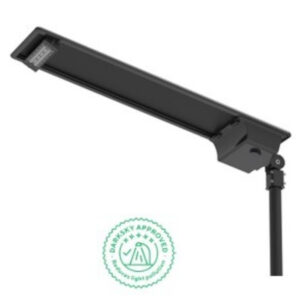 LUM VIAL SOLAR DS01 13800LM IP65 BRP715 279885607 Philips
